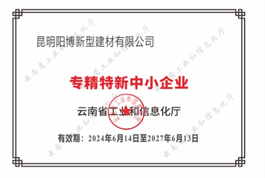 專精特新中小企業(yè)